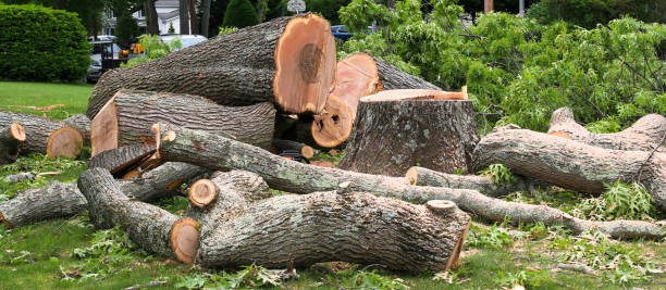 Best Arborist Consultation Services  in Lititz, PA